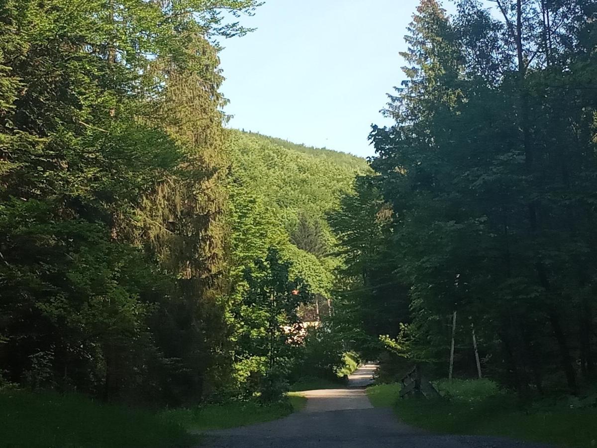 Dom W Gorach Przy Szlaku Villa Bystra  Buitenkant foto