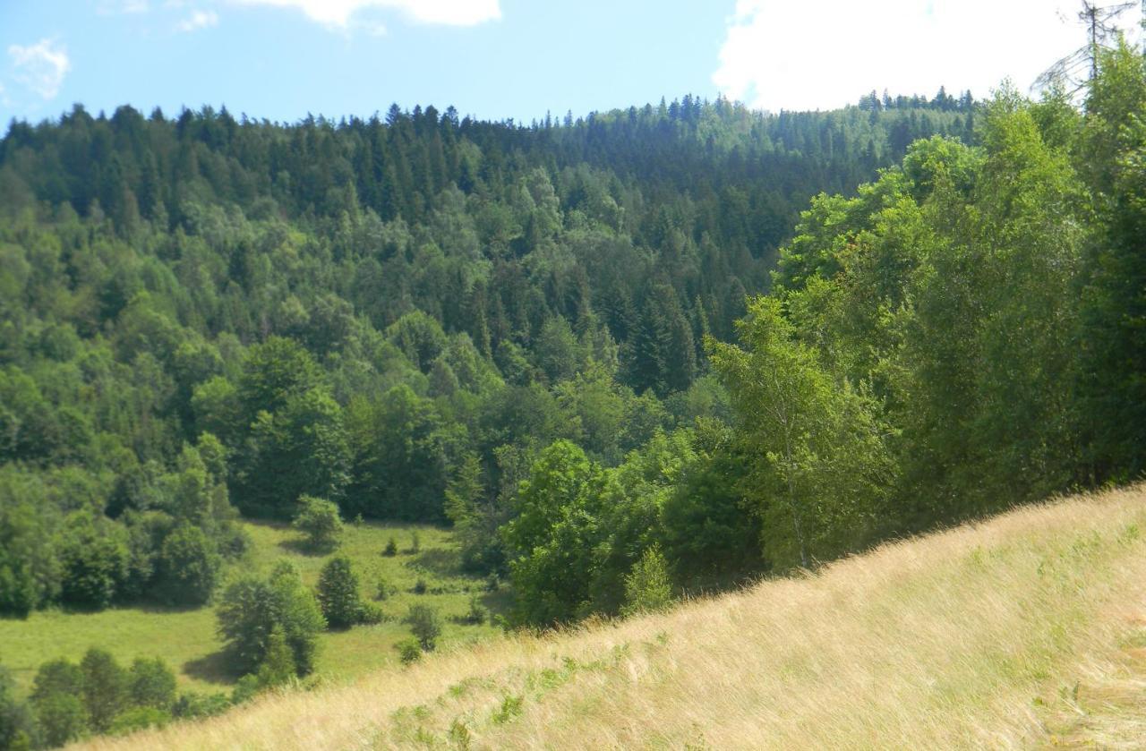 Dom W Gorach Przy Szlaku Villa Bystra  Buitenkant foto