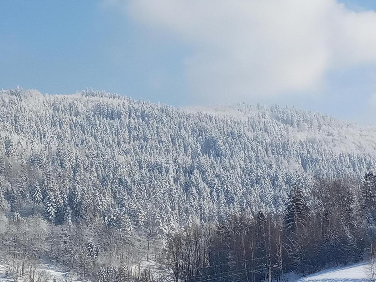 Dom W Gorach Przy Szlaku Villa Bystra  Buitenkant foto