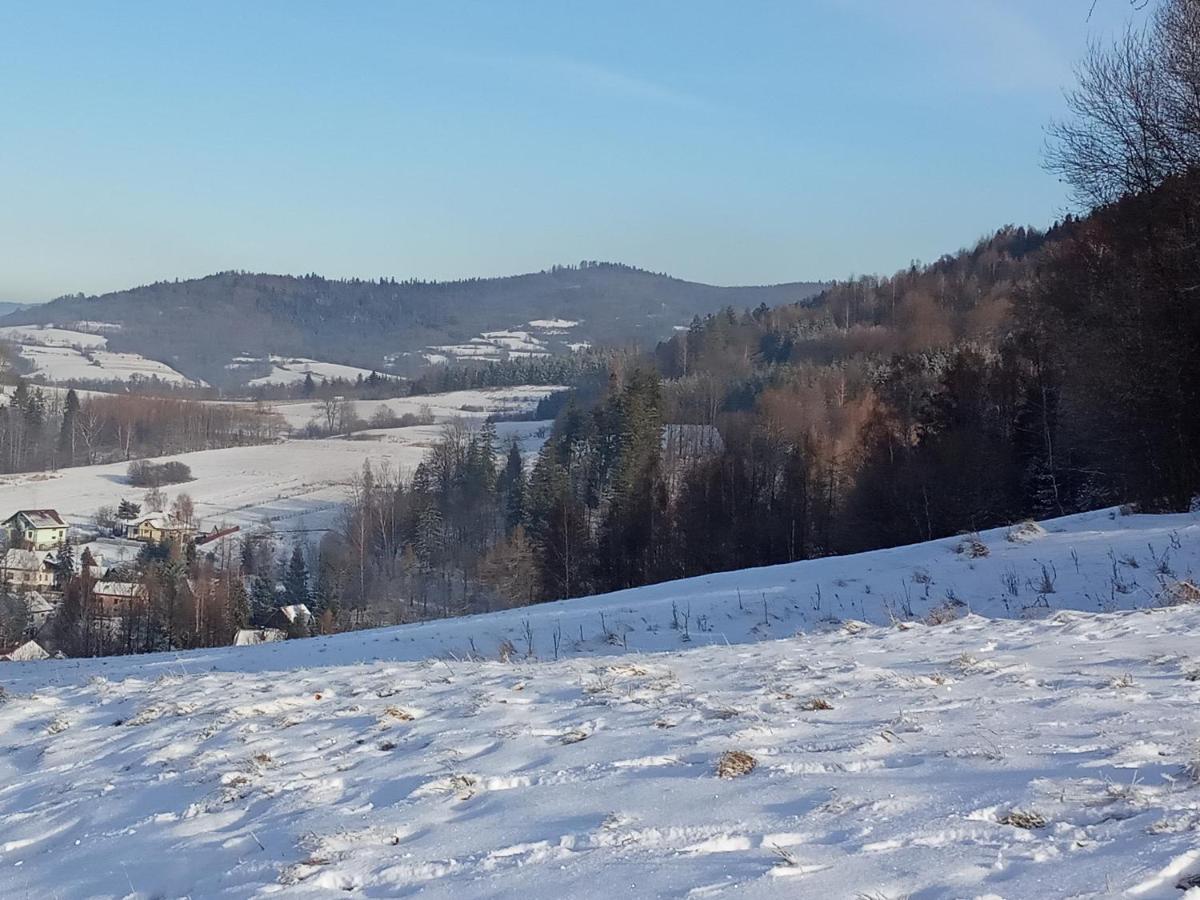Dom W Gorach Przy Szlaku Villa Bystra  Buitenkant foto