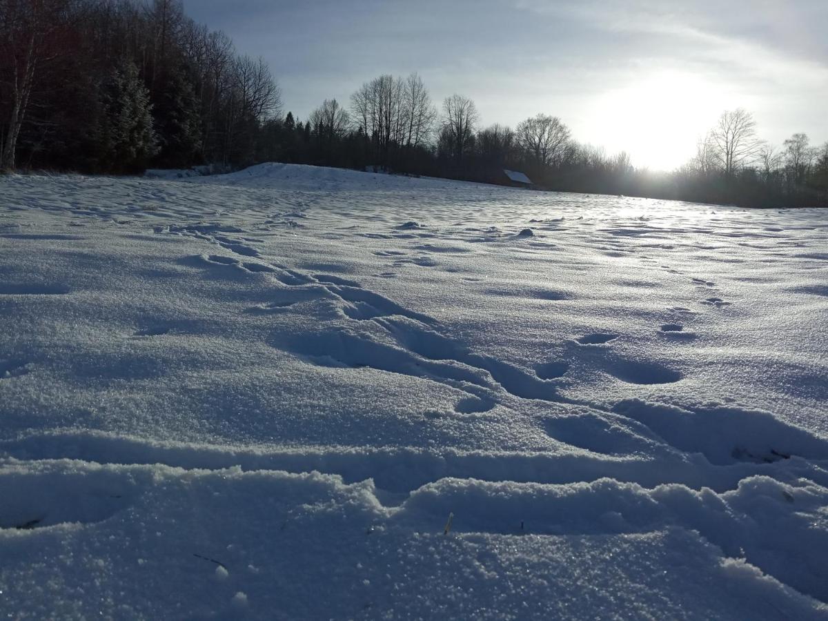 Dom W Gorach Przy Szlaku Villa Bystra  Buitenkant foto