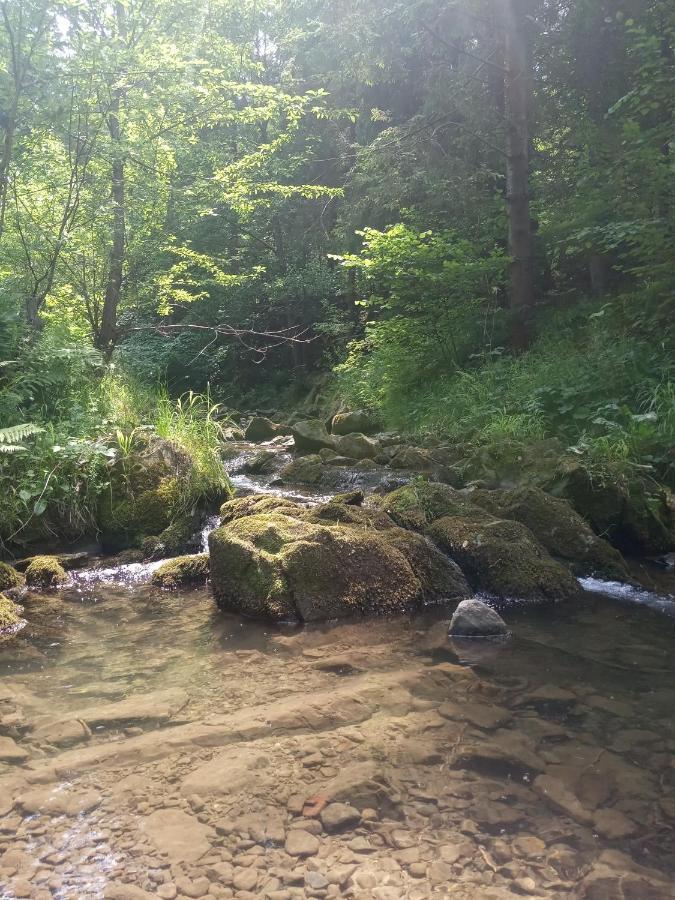 Dom W Gorach Przy Szlaku Villa Bystra  Buitenkant foto