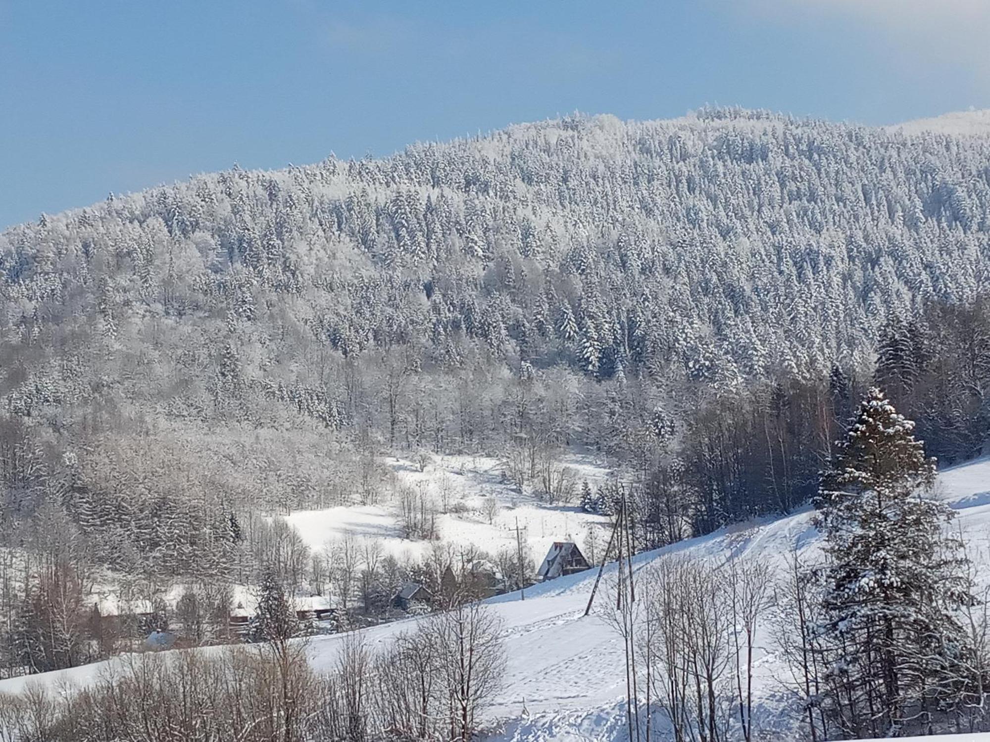 Dom W Gorach Przy Szlaku Villa Bystra  Buitenkant foto